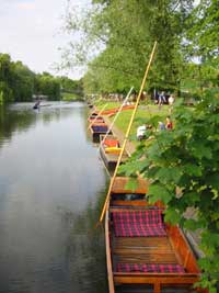 Punts on Jesus Green