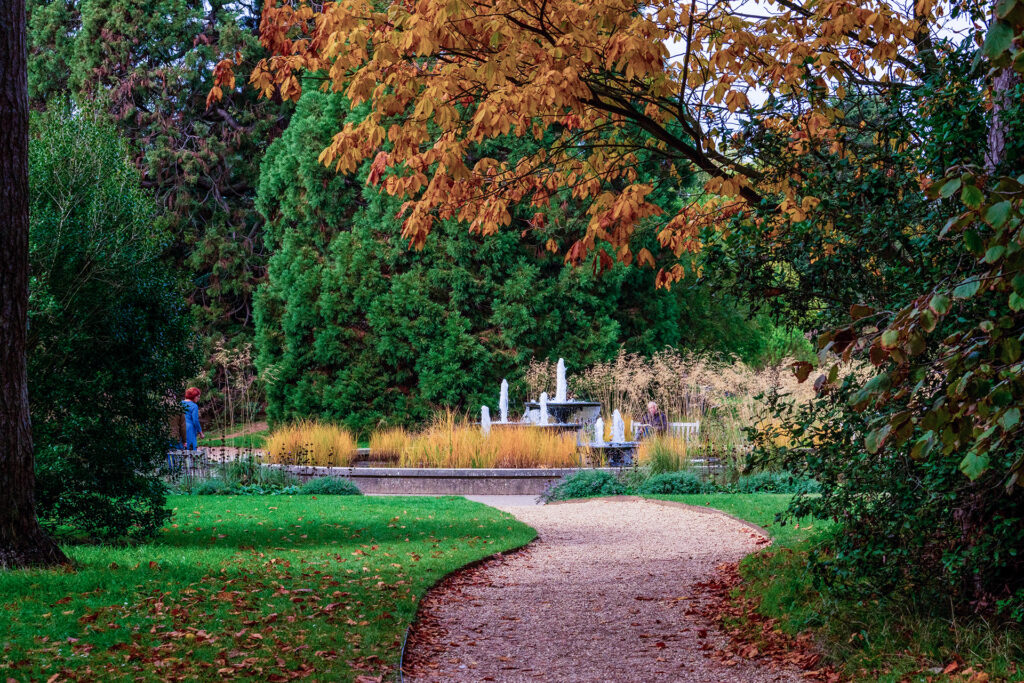 Cambridge University Botanical gardens in Autumn